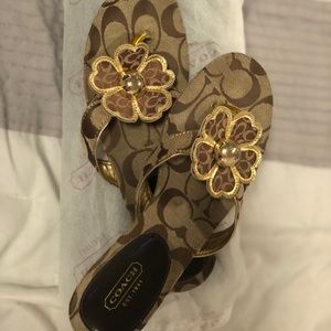 Coach Brown/Khaki/Gold Flip Flops with 🌼